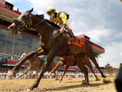 Preakness Stakes post positions: Full draw & odds for the 2022 Triple Crown race