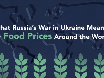  The Impact of the Russian Invasion on Food Prices Around the World 