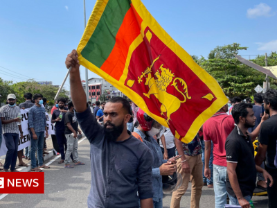 Why Sri Lanka cabinet resignations won't appease angry protesters