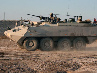Ukraine to receive Piranha III armored personnel carrier and heavy mortars from Denmark - media