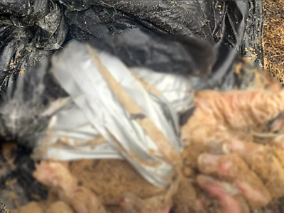 A pit with the bodies of three tortured men was found near Kyiv