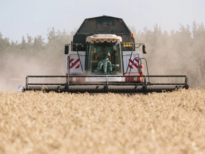 Growing risk of hunger as Russians loot southern east Ukraine's grain stockpiles - Gaidai