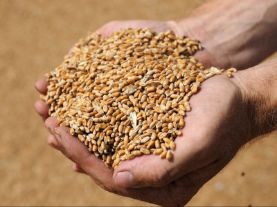 Freeing of Ukrainian grain from the russian blockade will be difficult and dangerous - Ursula