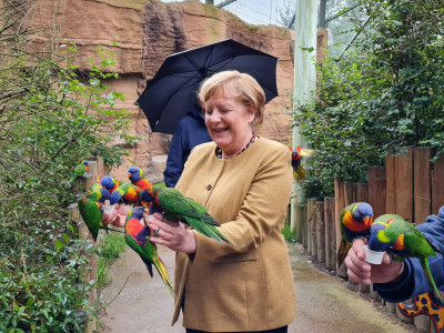 Merkel on Russia's attack on Ukraine: I do not blame myself