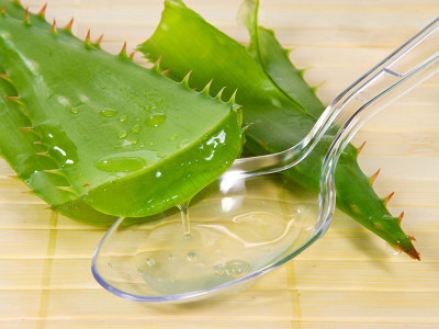The 15 Best Aloe Skin-Care Products for Soothing Skin