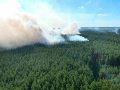8 hectares of ecosystems in Kharkiv region burned down because of russian shelling