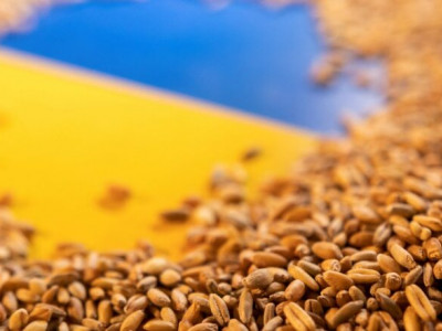 Reuters: Ukraine to export grain through Poland and Romania