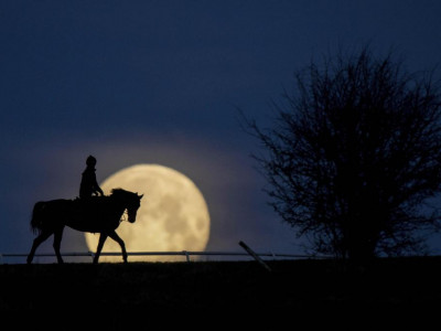 Times Sport Unseen: Ed Whitaker shares his favourite racing photos