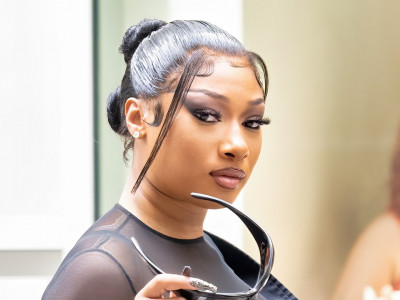 Let Megan Thee Stallion's Waist-Length Red Hair Bless Your Timeline
