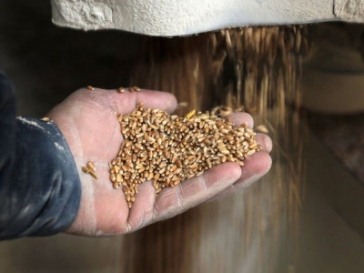 EU tries to get grain from Ukraine as Russia's war drags on