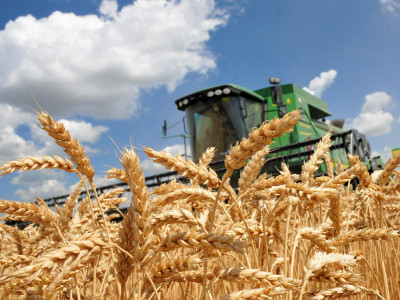 Russia solely responsible for global food security crisis - EU summit resolution