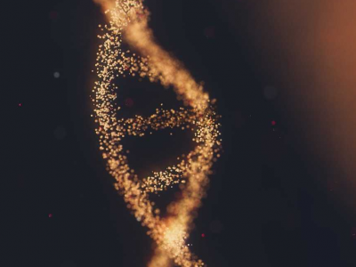 Scientists have announced an almost complete decoding of the human genome