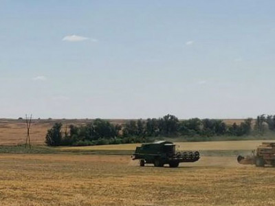 Only Those Who Cooperate with Russian Invasion Administration Are Allowed to Gather the Crops Commercially in Mariupol Area – Andriushchenko