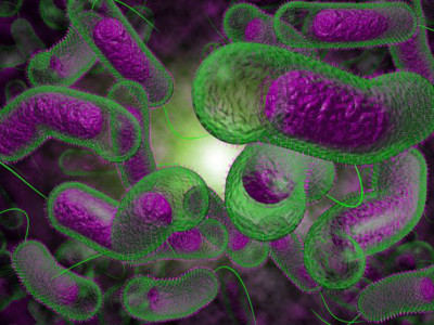 Study reveals why highly infectious cholera variant mysteriously died out