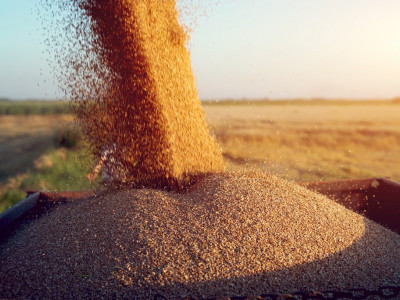 The Global Food Crisis and Europe: The Time to Counter the Threat is Now