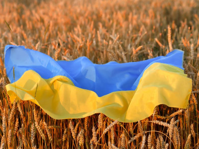 Agreement Reached In Istanbul To Create Coordination Headquarters To Export Ukrainian Grain