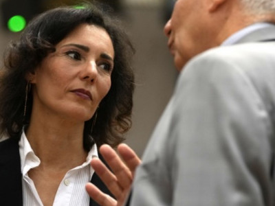 Crimean Plume. Ukraine Clashes with the Belgian Foreign Minister over a Visit to the Occupied
