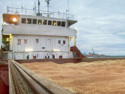 First ship loaded with Ukrainian grain leaves Odesa port