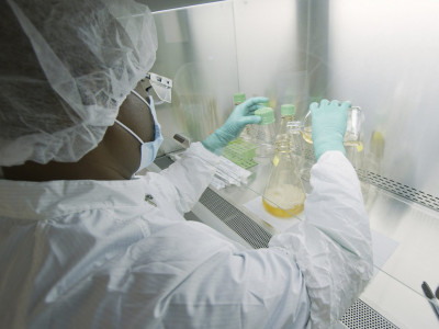 The Bacteria Powering a Truly Green Revolution in Personal Electronics