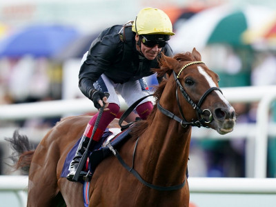 Lonsdale Cup: Stradivarius ruled out of York Group Two on Friday with bruised foot and Trueshan a doubt