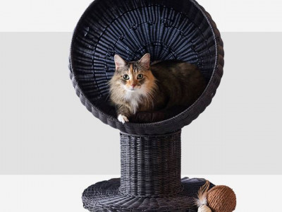 The 32 Best Pet Gifts for Your Four-Legged Friends