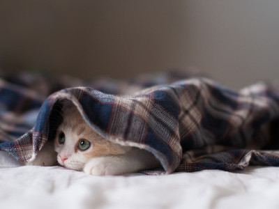 The coldest winter for Ukraine in recent decades