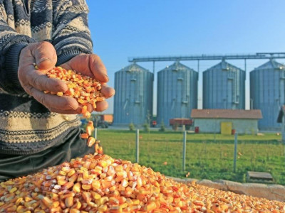 During the 5.5 months of russia's war against Ukraine, almost 10 million tons of food