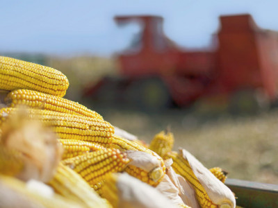 During the 5.5 months of russia's war against Ukraine, almost 10 million tons of food