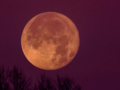 How the Full Harvest Moon in Pisces Will Impact You Astrologically