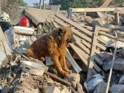 Old Dog Crimea Howled at the Ruins: a Russian Missile Killed a Wife and Two Children of AFU Soldier in Dnipro