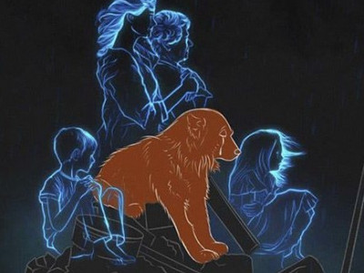 Symbol of Grief: What Happened to Dog Crimea that Lost his Family to Russian Missile?