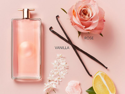 Our Favorite Fragrances Will Have You Smelling Like A Dream