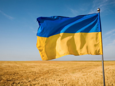 Ukrainian parliamentarians called on representatives of the Inter-Parliamentary Union to boycott the russian delegation