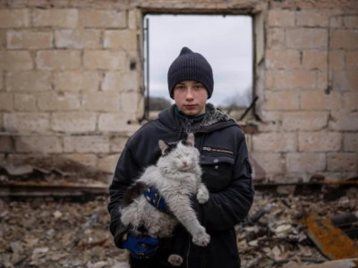 Children of the War: May They Be Adopted?