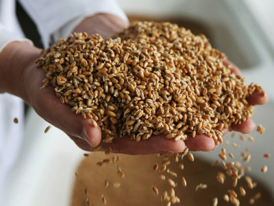 Russia Says Grain Initiative Might Resume on One Condition