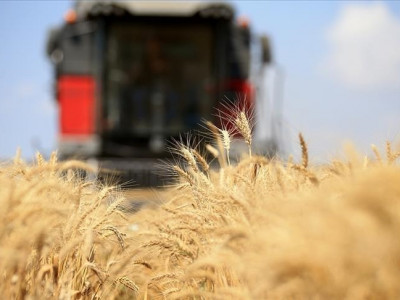 Russia resumes participation in grain deal in the Black Sea