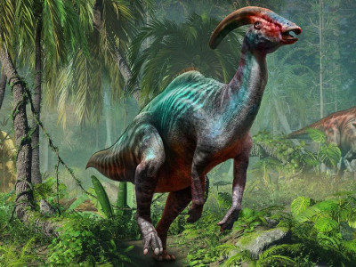 The mysterious song of the dinosaurs
