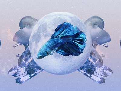 Your Pisces April 2023 Horoscope Predictions Are Here