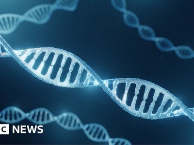 Google DeepMind AI speeds up search for disease genes
