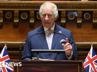 King's diplomatic speech to French Senate receives standing ovation