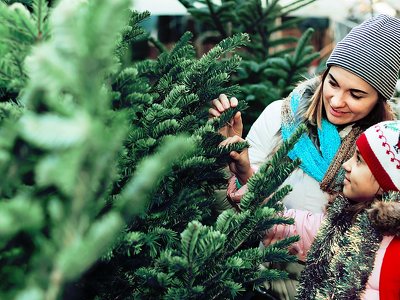Should you buy a real or artificial Christmas tree this year?