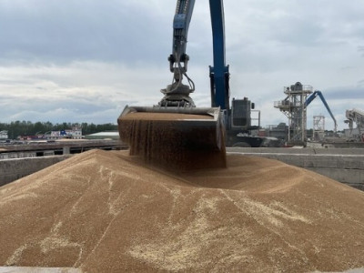Harvest 2023: Ukraine harvested almost 78 million tons of grains and oilseeds