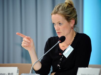 MEP von Cramon: Ukraine should include opposition in decision-making process at executive level
