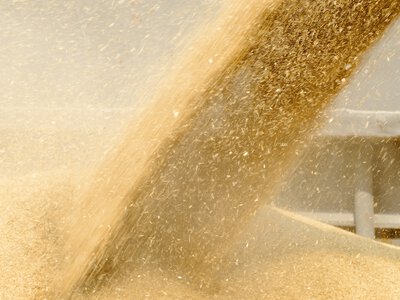 This year's wheat harvest almost 4 times higher than its consumption in country - Shmyhal