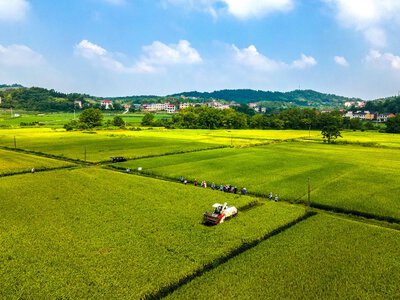 China boasts over 66.7 million hectares of high-standard farmland