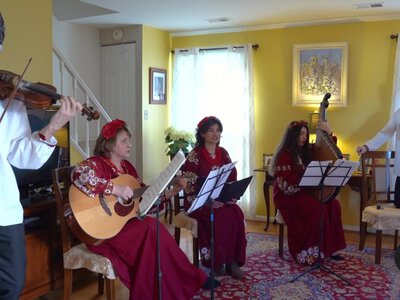  Ukrainian musicians in US express solidarity through performance 