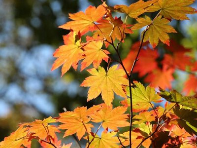 Cold weather will prevail: rain and snow possible in Ukraine on October 18