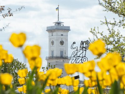 Sun Day, Pastry Chef Day, and Lviv Day – what holidays are celebrated on May 3