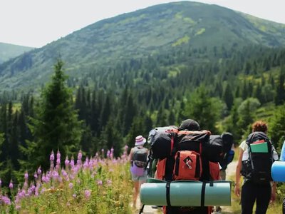 Tourist tax generated 112 million UAH — 13% more than last year