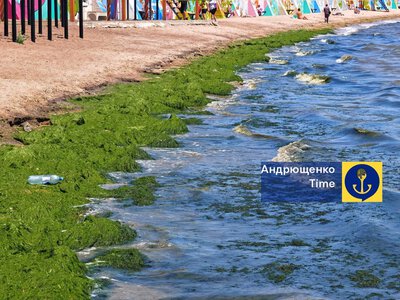 The Sea of Azov bloomed abnormally in May and began washing algae onto the coast — Andriushchenko